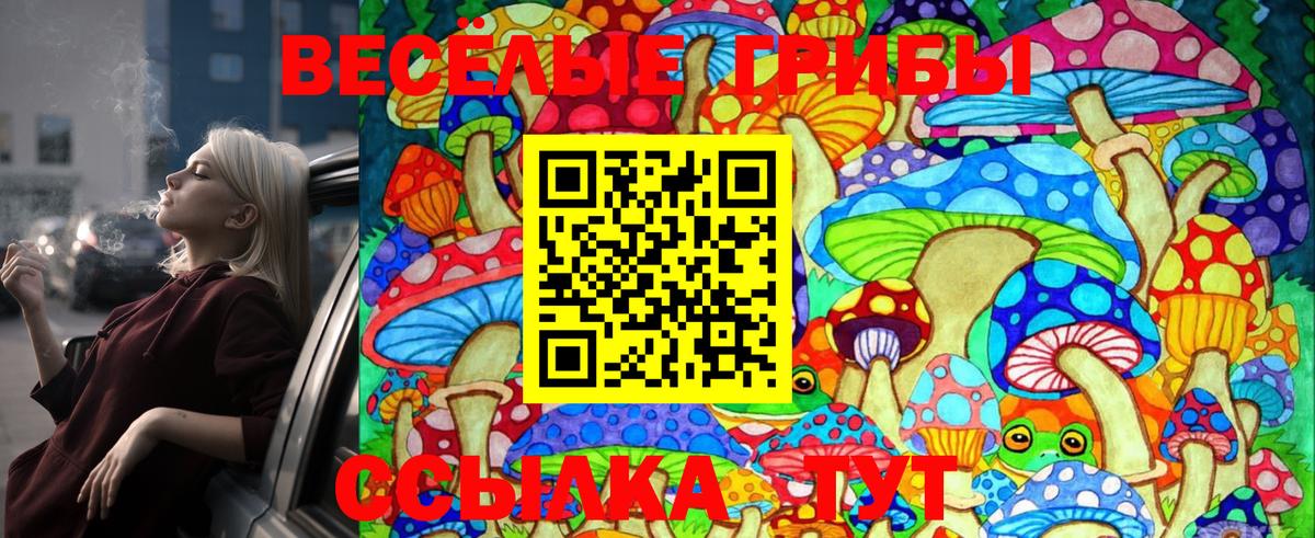 Псилоцибиновые грибы Psilocybine cubensis Ивантеевка